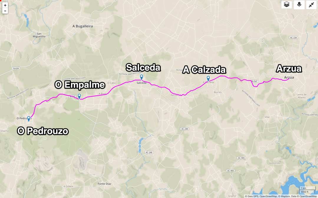 Camino De Santiago Map Elevation Gain And Loss And Distance Pygmy Elephant